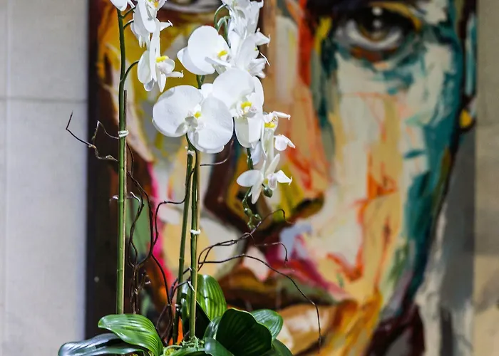 酒店 凯悦酒店 3*